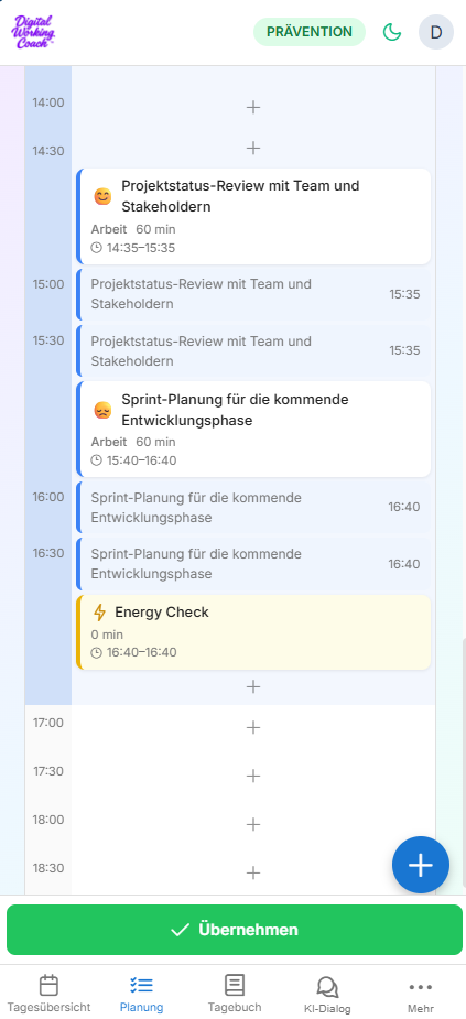 Übersicht und Begründung des erstellten Tagesplans